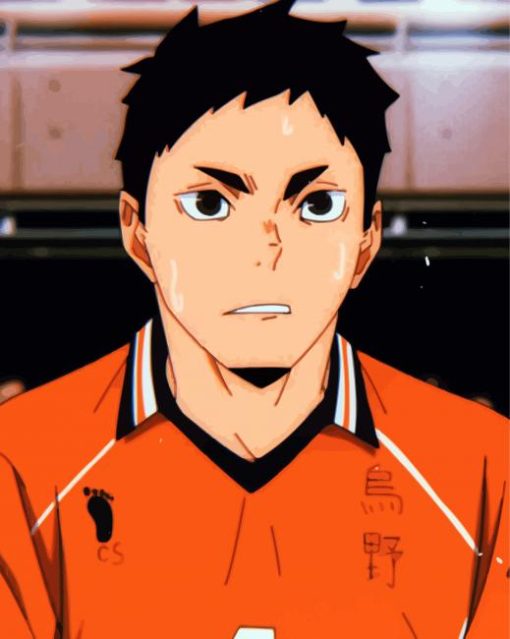 Volleyball Player Daichi Sawamura Anime diamond painting