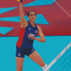 Volleyball Logan Toms Diamond Painting