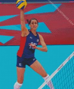 Volleyball Logan Toms Diamond Painting