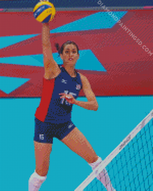 Volleyball Logan Toms Diamond Painting