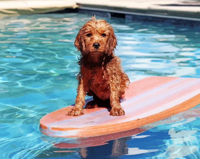 Wet Dog On Surfboard Diamond Paintings