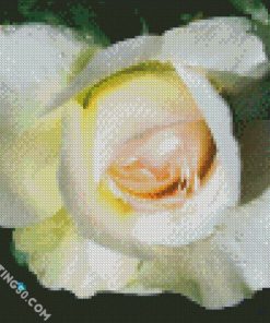 White Floribunda diamond painting