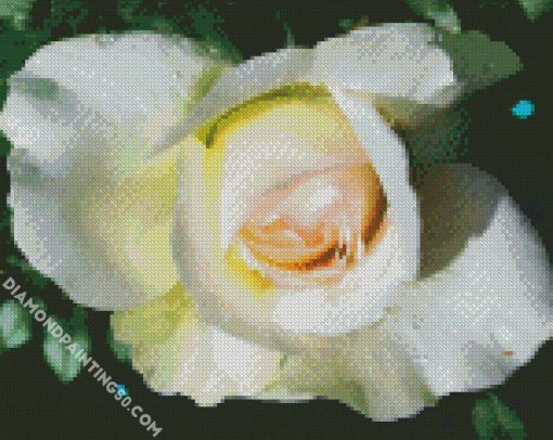 White Floribunda diamond painting