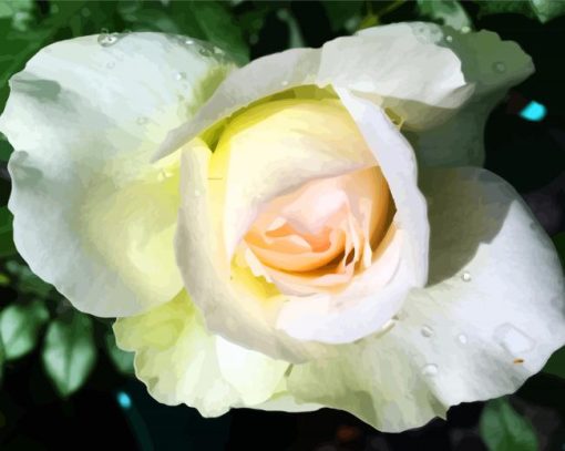 White Floribunda diamond painting