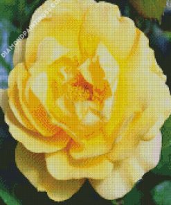 Yellow Floribunda diamond painting