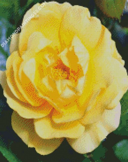 Yellow Floribunda diamond painting