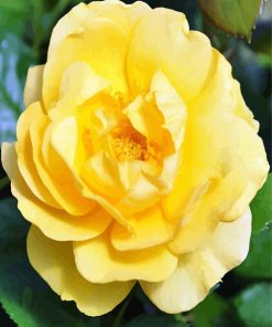 Yellow Floribunda diamond painting