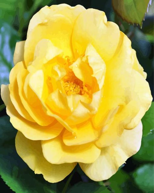 Yellow Floribunda diamond painting