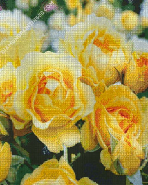 Yellow Floribunda Flowers diamond painting