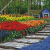 A Path To The Garden Landscape Diamond Paintings