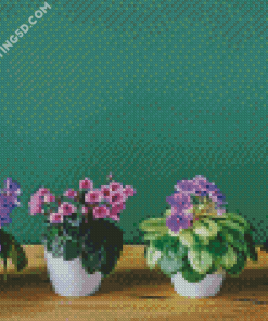 African Violets Diamond Paintings