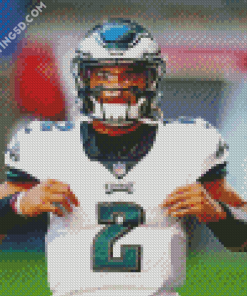 Eagles Football Diamond Paintings