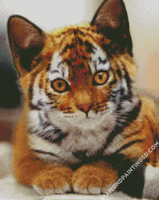 Kitten Tiger Diamond Paintings