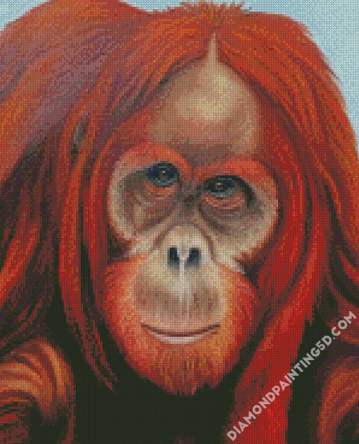 Orangutans Diamond Paintings