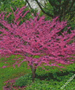 Redbuds Nature Diamond Paintings