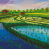 Rice Field Diamond Paintings