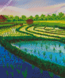 Rice Field Diamond Paintings