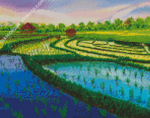 Rice Field Diamond Paintings