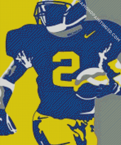 Aesthetic Michigan Wolverine Diamond Paintings