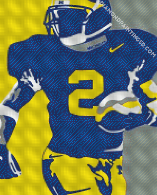 Aesthetic Michigan Wolverine Diamond Paintings