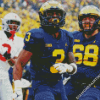 Aesthetic Michigan Players Diamond Paintings