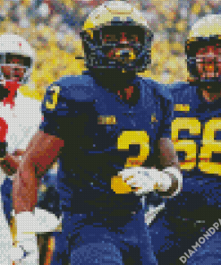 Aesthetic Michigan Players Diamond Paintings