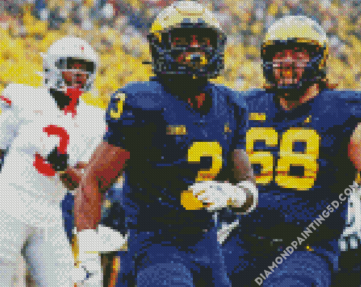 Aesthetic Michigan Players Diamond Paintings