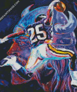 Aesthetic Minnesota Vikings Diamond Paintings