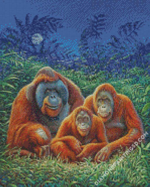 Aesthetic Orangutans Diamond Paintings