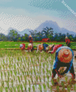 Aesthetic Rice Field Diamond Paintings