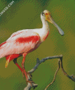 Aesthetic Roseau Spoonbill Art Diamond Paintings