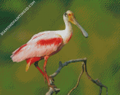 Aesthetic Roseau Spoonbill Art Diamond Paintings