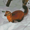 Aesthetic Marten Animal Diamond Paintings