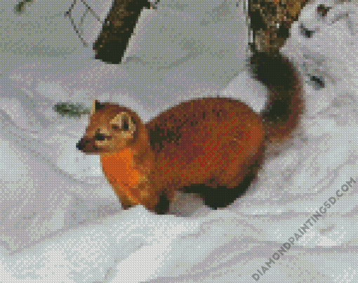 Aesthetic Marten Animal Diamond Paintings