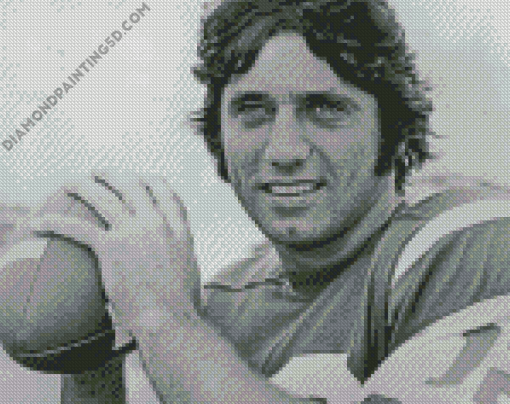 Black And White Joe Namath Diamond Paintings