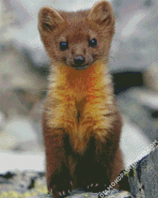 Marten Animal Art Diamond Paintings