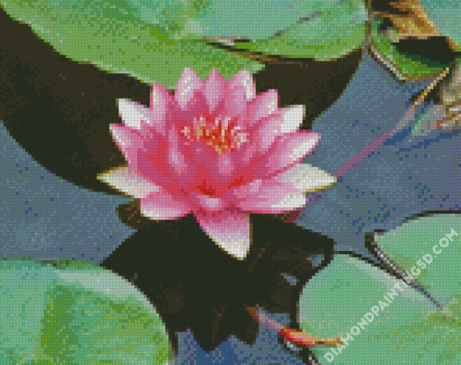 Pink Lotus Blossom Diamond Paintings