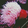 Pink Sea Anemone Diamond Paintings