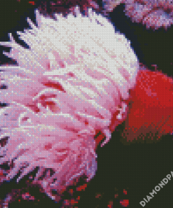 Pink Sea Anemone Diamond Paintings