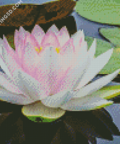 White Lotus Blossom Diamond Paintings