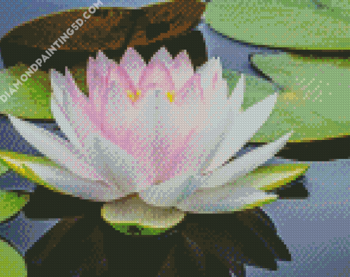 White Lotus Blossom Diamond Paintings