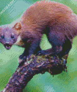 Wild Marten Animal Diamond Paintings