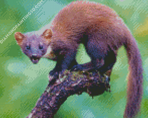 Wild Marten Animal Diamond Paintings