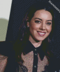 Actress Aubrey Plaza Diamond Paintings