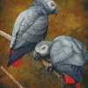 African Grey Parrots Diamond Paintings