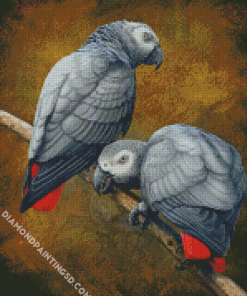 African Grey Parrots Diamond Paintings