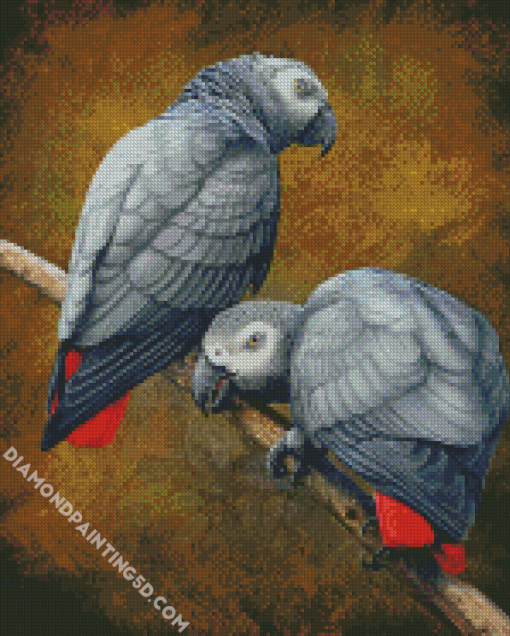 African Grey Parrots Diamond Paintings