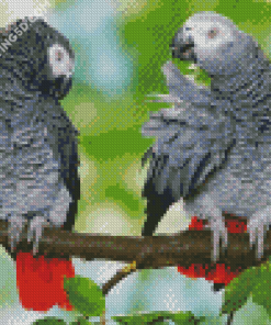 African Grey Parots On Stick Diamond Paintings