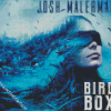 Bird Box Movie Poster Diamond Paintings