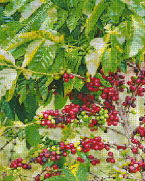 Coffee Tree Diamond Paintings